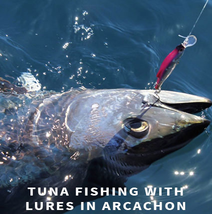 Tuna fishing in Arcachon